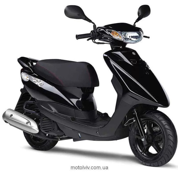 Brown bear - Vector graphics